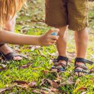 Cómo tratar y prevenir las picaduras de insectos y los riesgos para la salud este verano