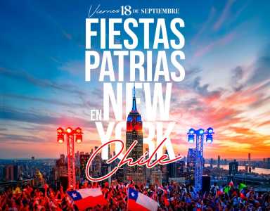 vivelo ny