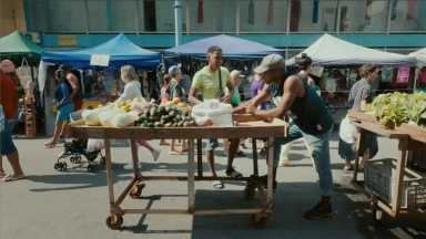 Vívelo LI : Venta de plantas nativas y Feria ambiental en Brentwood