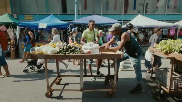Vívelo LI : Venta de plantas nativas y Feria ambiental en Brentwood