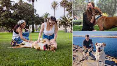 Celebran el “Día del Compañero de Aventuras”: el Perro listo para adoptar