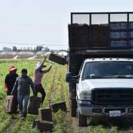 Coalición de líderes hispanos exigen regularizar a inmigrantes que han vivido mucho tiempo en EEUU