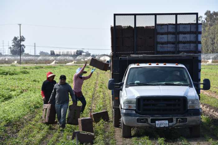 Coalición de líderes hispanos exigen regularizar a inmigrantes que han vivido mucho tiempo en EEUU