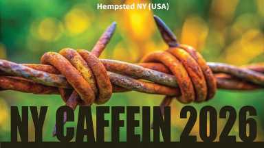 Invitan al Festival de Cine Centroamericano Internacional 2026 en Hempstead, Long Island