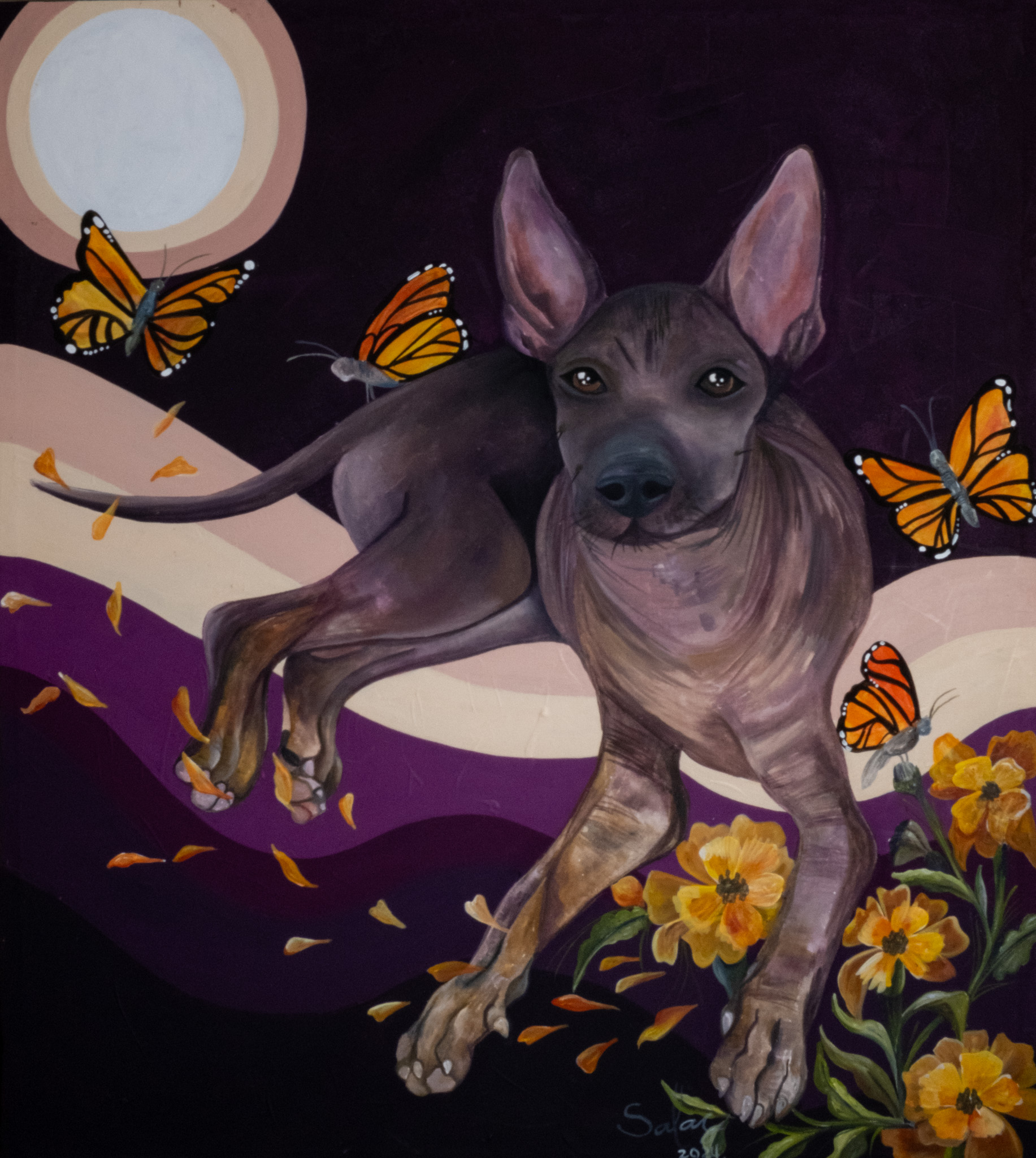 Xoloitzcuintle