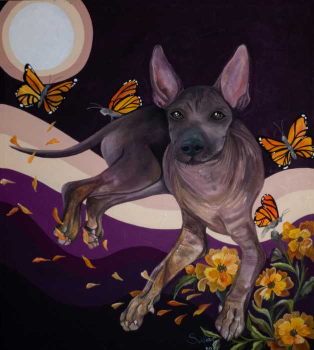 Xoloitzcuintle