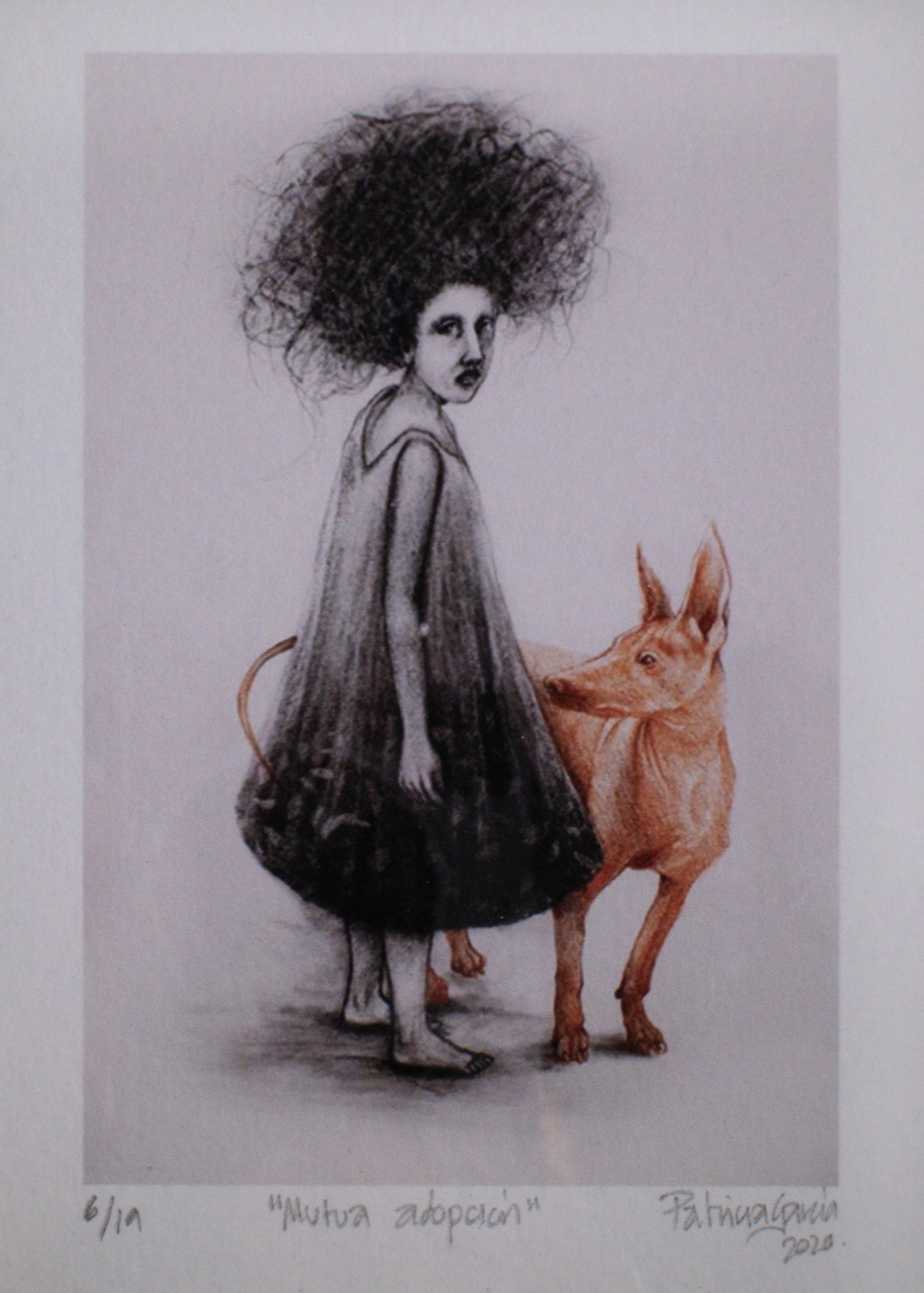 Xoloitzcuintle