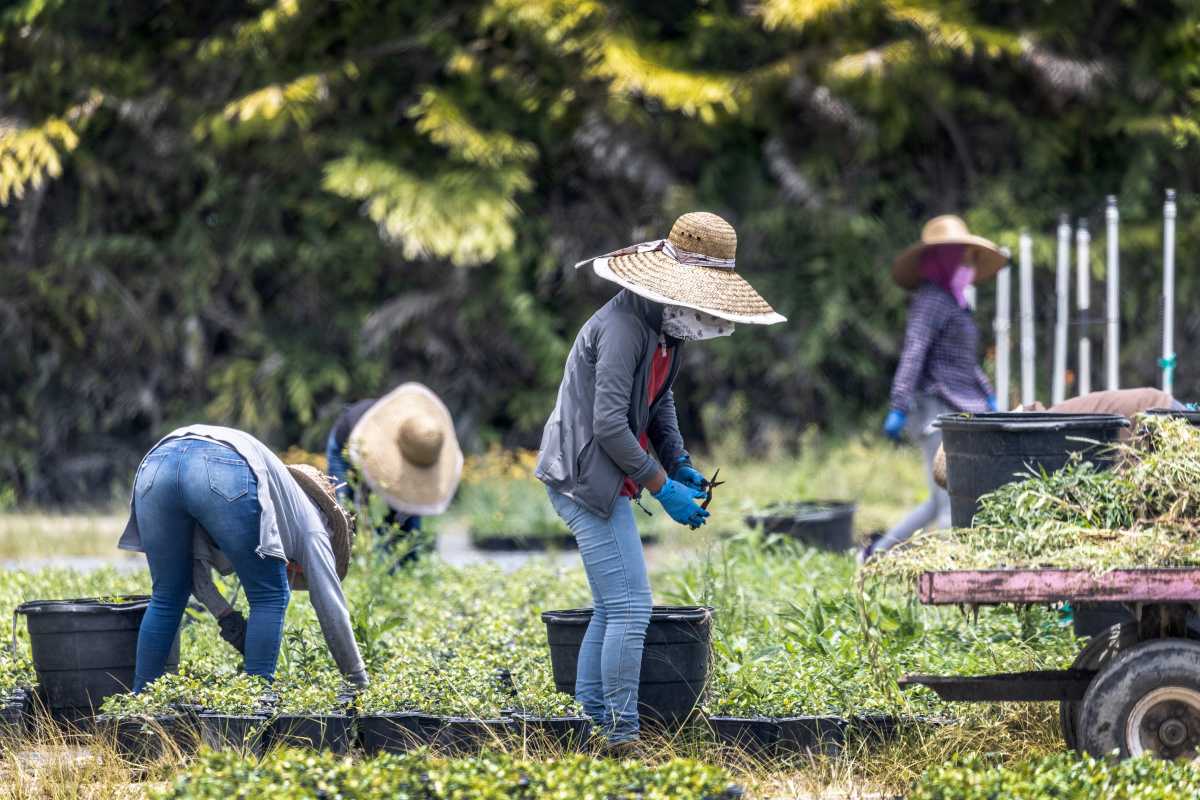 Un juez federal bloquea las multas de Trump a inmigrantes por no salir del país